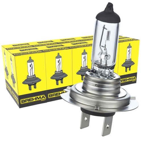 10x birnen 12v - 10x, lampen